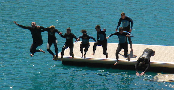  - Courchevel Enquirer