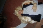 Lard, 70's night 2001 - Courchevel Enquirer