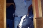 Stevo Vache Jump, General photos 2002 - Courchevel Enquirer
