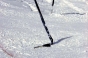 Spazed, Boss des Bosses 2003 - Courchevel Enquirer