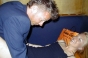 Mono Mike, End of Season Ball 2003 - Courchevel Enquirer