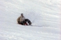 Stuart, Ski Higher Race 2003 - Courchevel Enquirer