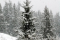 snow, General photos 2003 - Courchevel Enquirer
