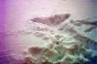 Snow angel, 1 Valley rally 2004 - Courchevel Enquirer