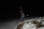 Dave, Team Mono 2004 - Courchevel Enquirer