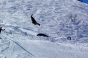 Devon, Boss des Bosses 2005 - Courchevel Enquirer