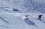 Devon, Boss des Bosses 2005 - Courchevel Enquirer