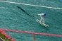 , Ski Jump Championships - Courchevel Enquirer