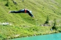 , Natives Tignes weekend - Courchevel Enquirer
