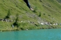 , Natives Tignes weekend - Courchevel Enquirer