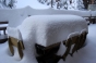 , General photos 2008 - Courchevel Enquirer