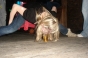, Last night Kalico 2008 - Courchevel Enquirer