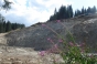 , General Summer photos 2009 - Courchevel Enquirer