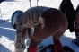 , Natives Workers Challenge - Courchevel Enquirer