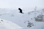 , X-Games Tignes 2010 - Courchevel Enquirer