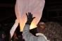 , New Years 2011 - Courchevel Enquirer