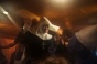 , New Years 2011 - Courchevel Enquirer