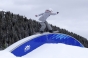 , Aloha day 2012 - Courchevel Enquirer