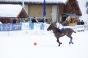 , BMW polo masters - Courchevel Enquirer
