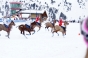 , BMW polo masters - Courchevel Enquirer