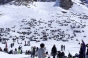 , Winter X-Games Mens Ski Slopestyle final 2012 - Courchevel Enquirer