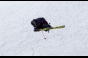 , Winter X-Games Ski Slopestyle qualification 2012 - Courchevel Enquirer
