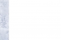 , Winter X-Games Ski Slopestyle qualification 2012 - Courchevel Enquirer