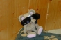 Kats rat, General photos 1999 - Courchevel Enquirer