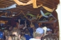 Equipe, Beach Party 2000 - Courchevel Enquirer