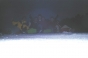 Pascal Alex Steve Dunsire Matt, General 2000 - Courchevel Enquirer